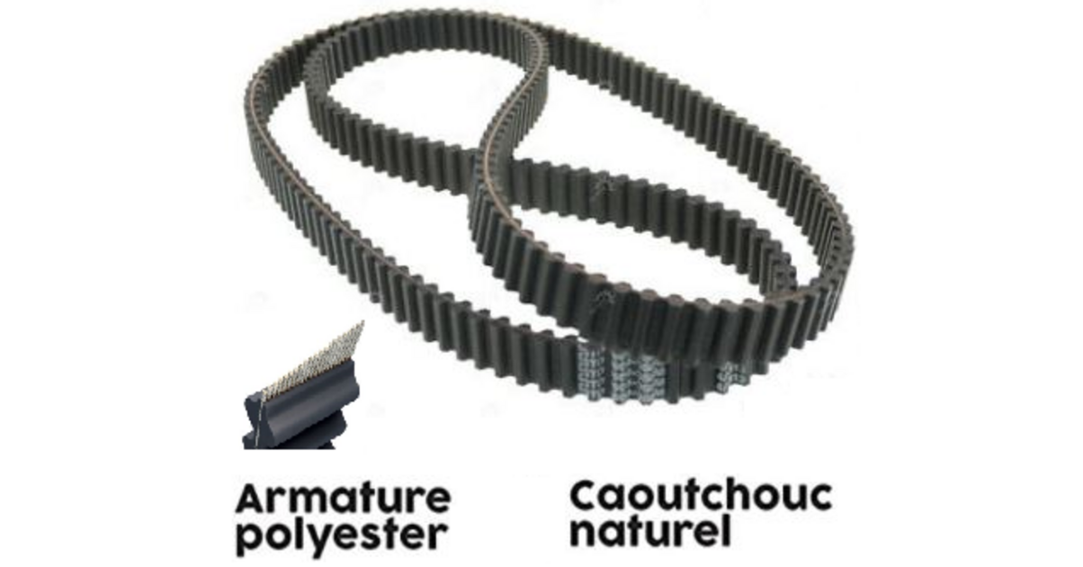 Machermann Courroie Double Crantée 1600-DS8M-20 N°179 - Compatible Agrostroj Honda Castel Garden Sabo
